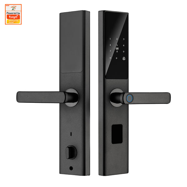 SPARK Brushed Aluminum Finish Smart Lock